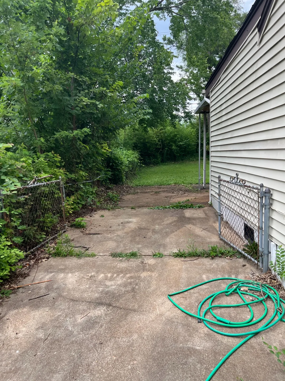 The same side yard cleared after furniture removal